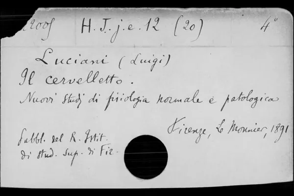 Image pour Tiroirs JOU-LUM