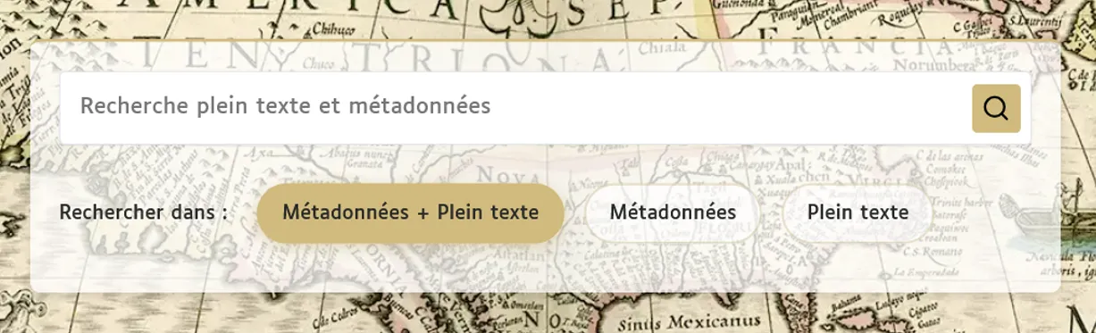 Barre de recherche avec options de recherche en dessous.