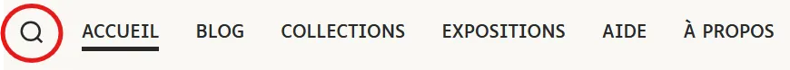 Bandeau de menu de haut de page présentant à gauche une icône loupe puis les titres des différentes rubriques du site.