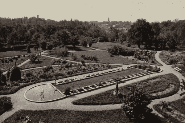 Vue du jardin botanique de Cluj