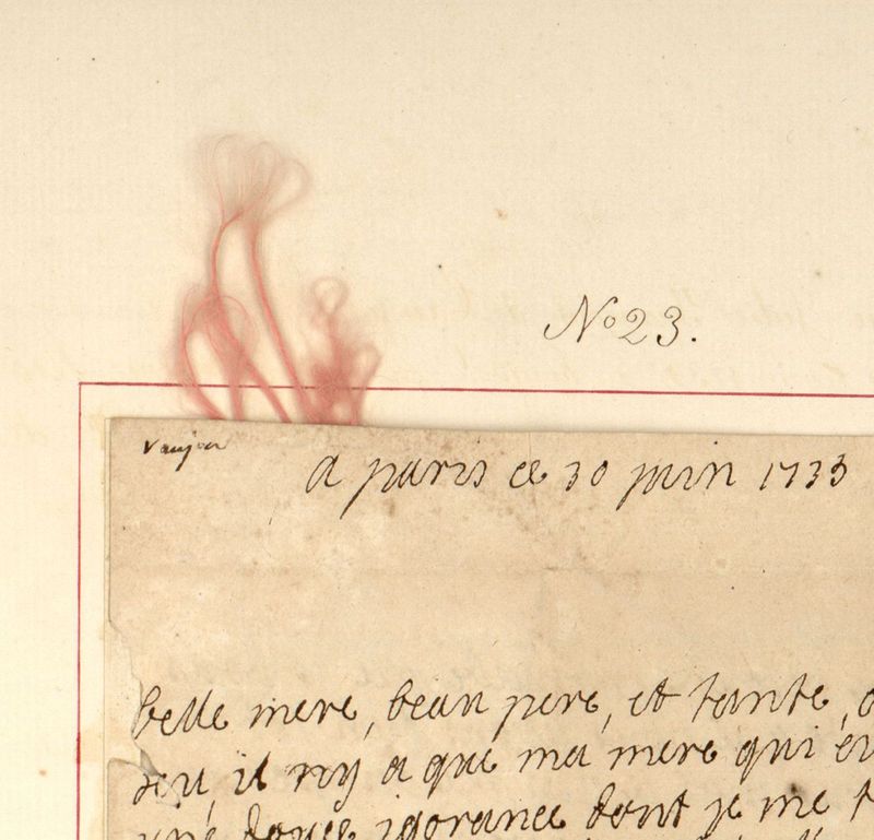 Mèche de cheveux de la duchesse Anne Julie de La Vallière