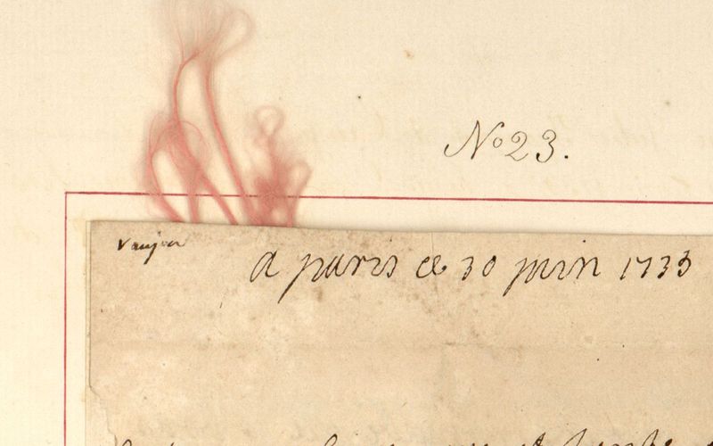 Mèche de cheveux de la duchesse Anne Julie de La Vallière