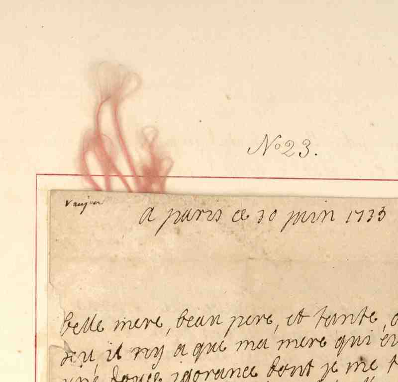 Mèche de cheveux de la duchesse Anne Julie de La Vallière