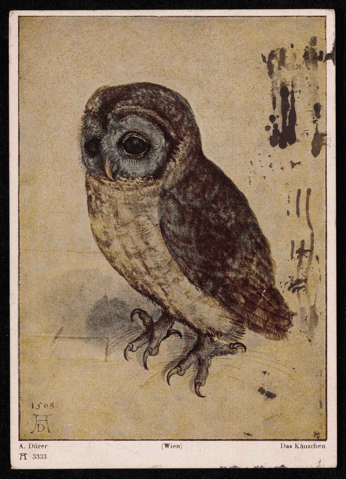 Carte postale reproduisant une aquarelle ancienne représentant une petite chouette perchée, aux plumes détaillées et au regard pensif.