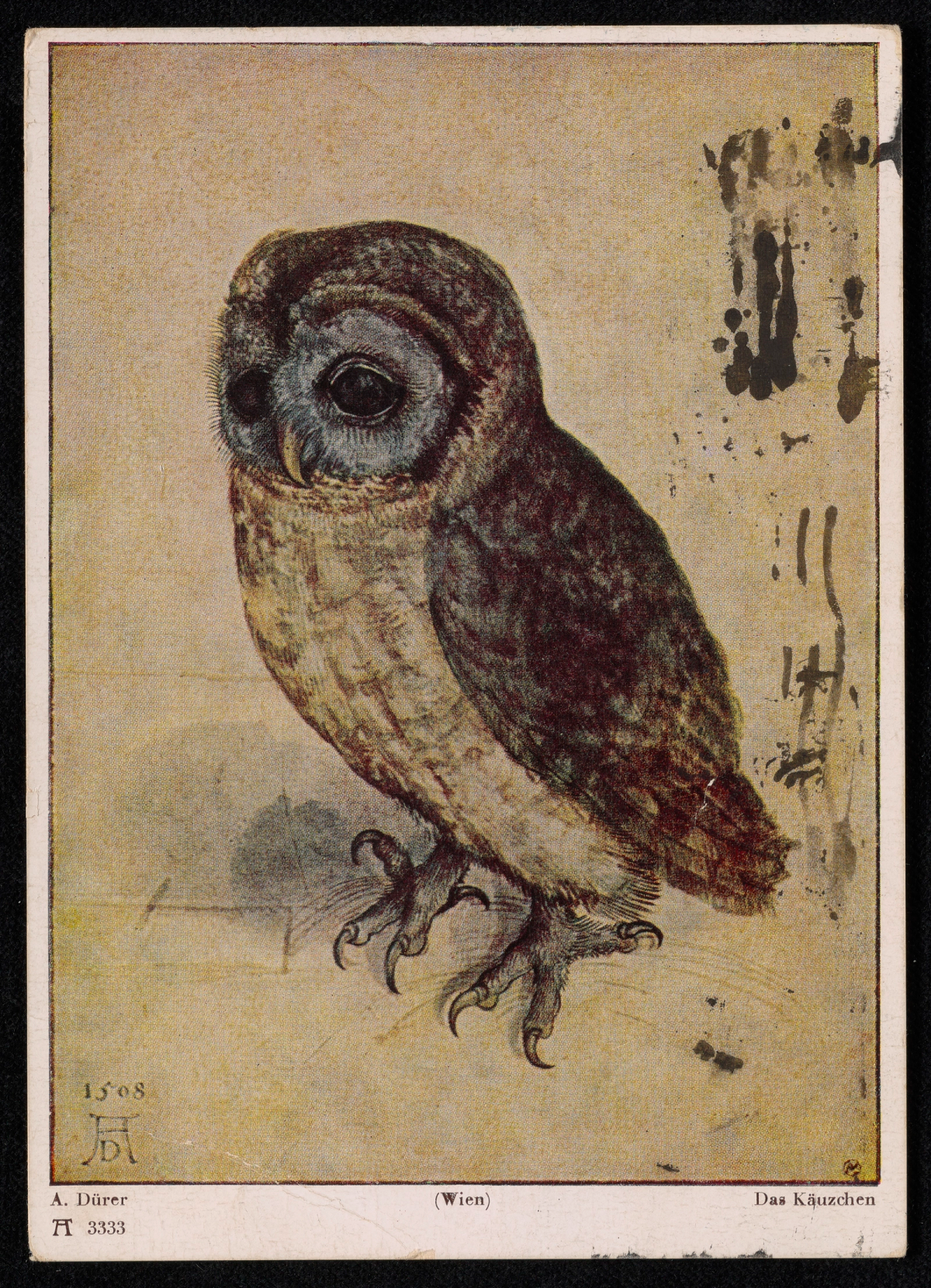 Carte postale reproduisant une aquarelle ancienne représentant une petite chouette perchée, aux plumes détaillées et au regard pensif.