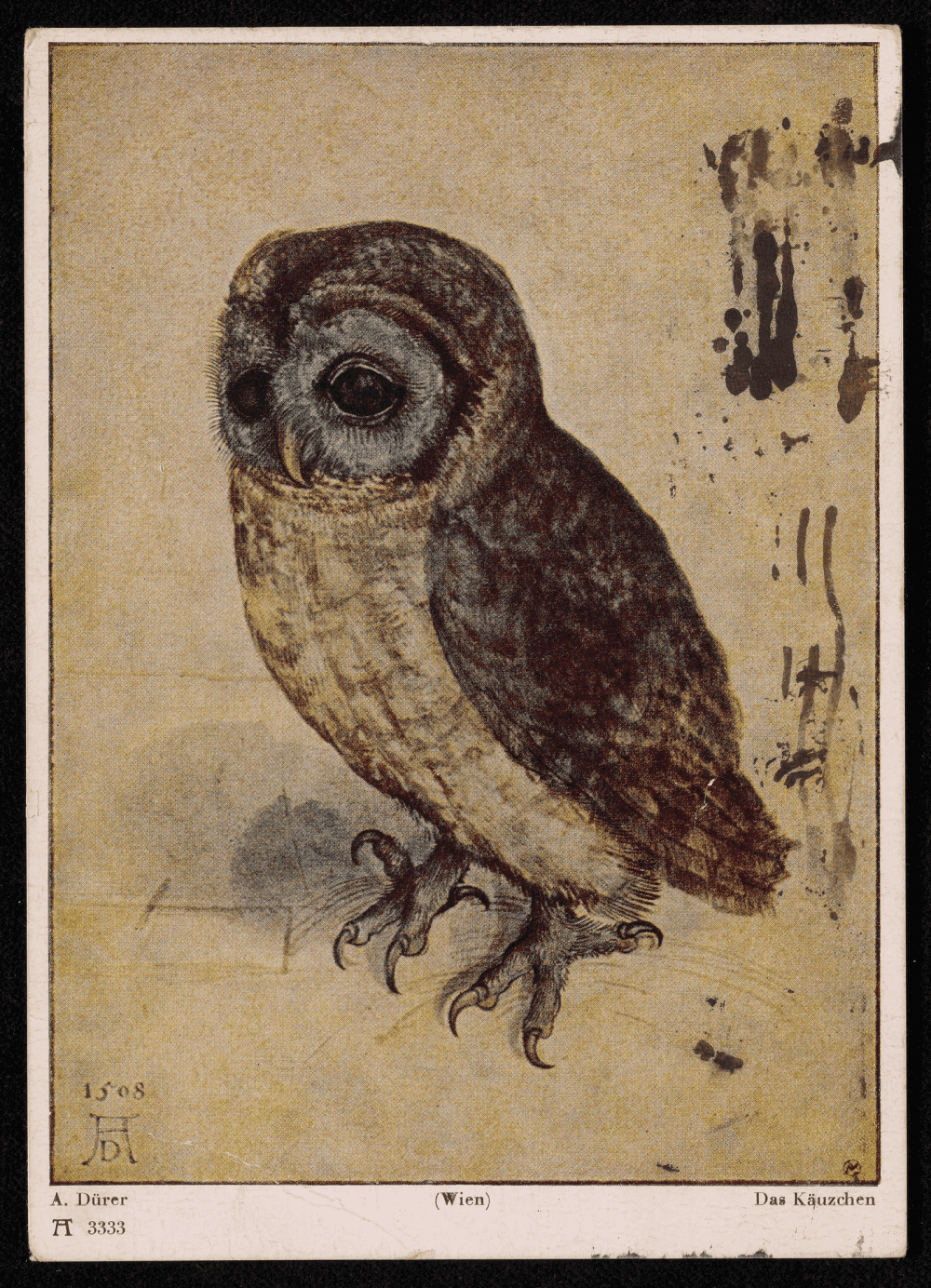 Carte postale reproduisant une aquarelle ancienne représentant une petite chouette perchée, aux plumes détaillées et au regard pensif.