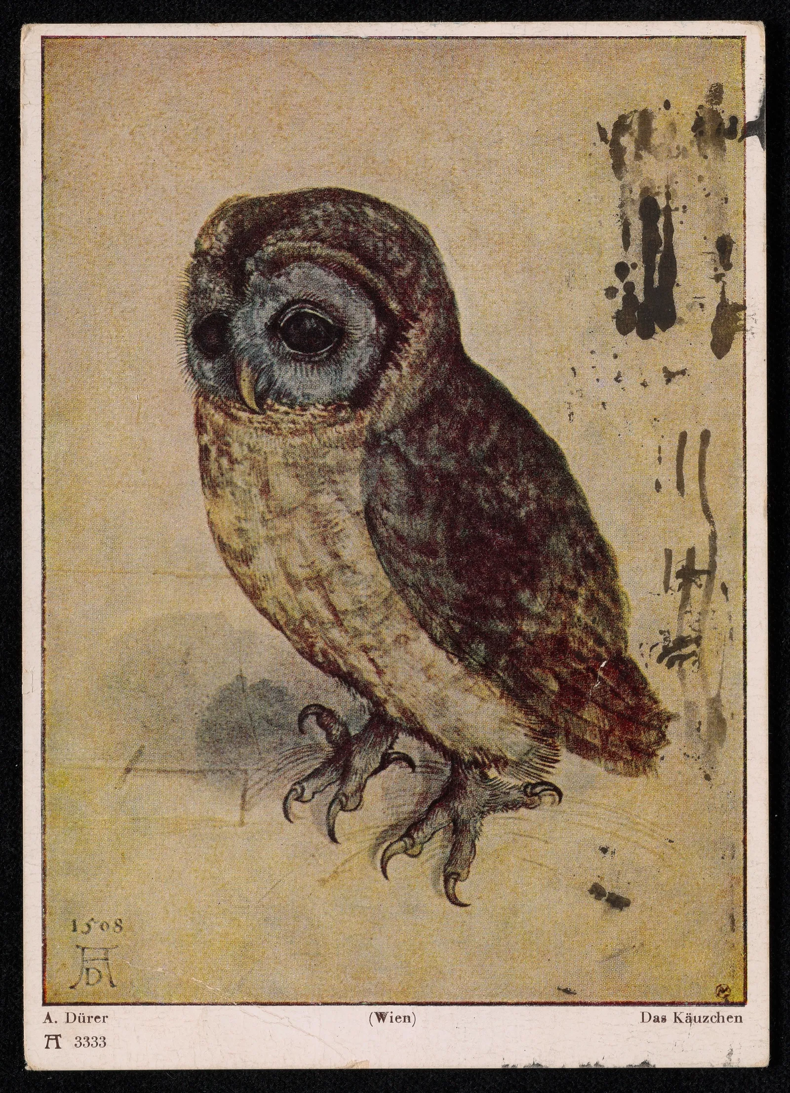 Carte postale reproduisant une aquarelle ancienne représentant une petite chouette perchée, aux plumes détaillées et au regard pensif.