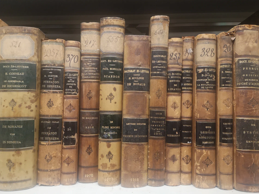 View of a shelf holding twelve volumes of printed theses from the 19th century.
