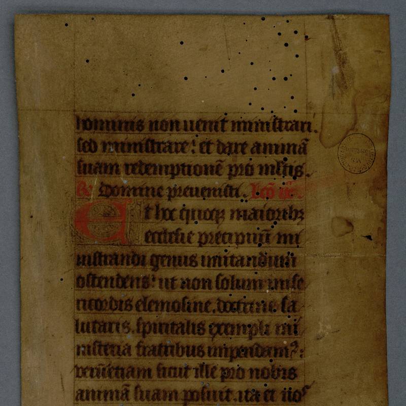 MS 2037-2, f. 41-42. Partie supérieure d'un fragment de manuscrit médiéval, issu d'un feuillet de parchemin, coupé en deux dans le sens de la hauteur ; sur la gauche, initiale E à l'encre rouge, ornée d'entrelacs à l'encre noire, marquant le début du texte "E/t  hoc".