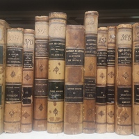 Vue d'une étagère présentant douze volumes de thèses imprimées datant du XIXe siècle. 